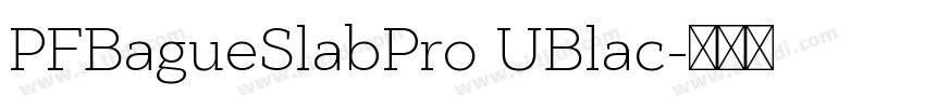 PFBagueSlabPro UBlac字体转换